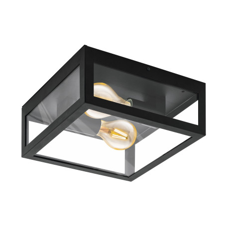 Настенный светильник Eglo Alamonte 1 94832, IP44, 2xE27x60W, прозрачный, черный, стекло, стекло с металлом