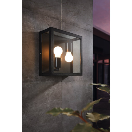 Настенный светильник Eglo Alamonte 1 94832, IP44, 2xE27x60W, прозрачный, черный, стекло, стекло с металлом - миниатюра 2