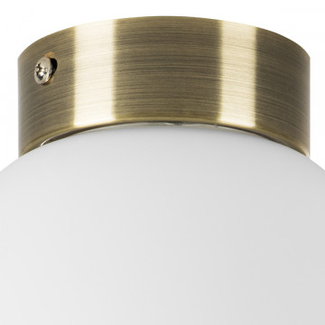 Потолочный светильник Lightstar Globo 812011, 1xE14x40W - миниатюра 2