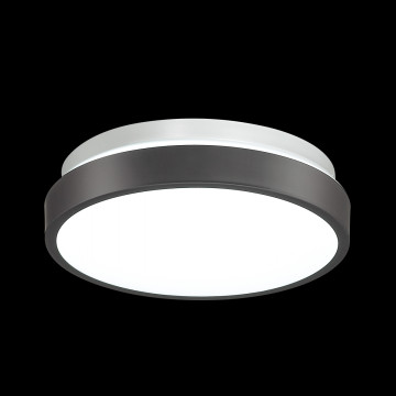 Потолочный светодиодный светильник Sonex Smalli 3012/AL, IP43, LED 12W 4000K 1100lm - миниатюра 4
