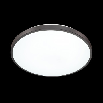 Потолочный светодиодный светильник Sonex Smalli 3012/DL, IP43, LED 48W 340036503800lm - миниатюра 4