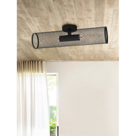 Настенно-потолочный светильник Eglo Redcliffe 43535, 2xE27x40W - миниатюра 3