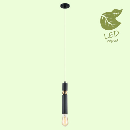 Подвесной светильник Lussole Loft Truman GRLSP-8145, IP21, 1xE27x10W
