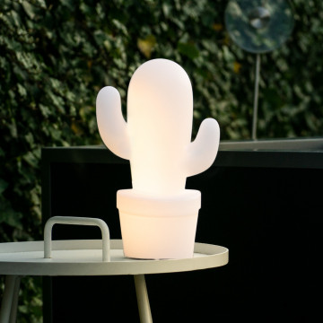 Садовый светодиодный светильник Lucide Cactus 13813/02/31, IP44, LED 2W 2700K 90lm - миниатюра 7