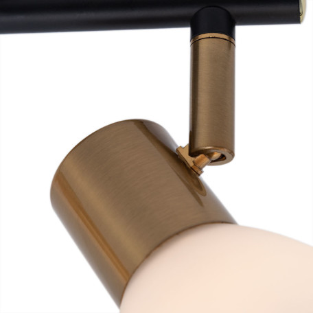 Потолочный светильник Arte Lamp Falena A3117PL-2BK, 2xE14x40W - миниатюра 3