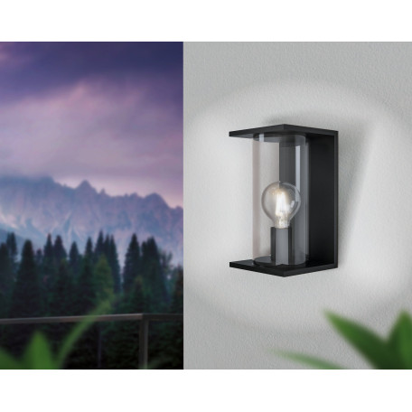 Настенный светильник Eglo Cascinetta 98713, IP54, 1xE27x40W, черный, прозрачный, металл, стекло с металлом, металл со стеклом - миниатюра 2