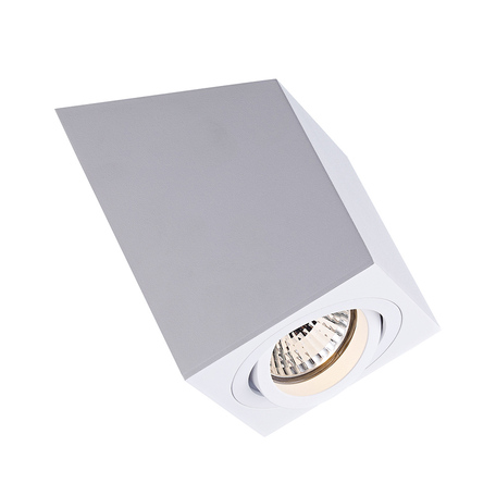 Потолочный светильник Zumaline Roncub ACGU10-136, 1xGU10x50W, белый, металл