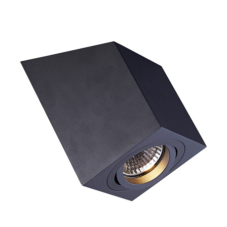 Потолочный светильник Zumaline Roncub ACGU10-137, 1xGU10x50W - миниатюра 1