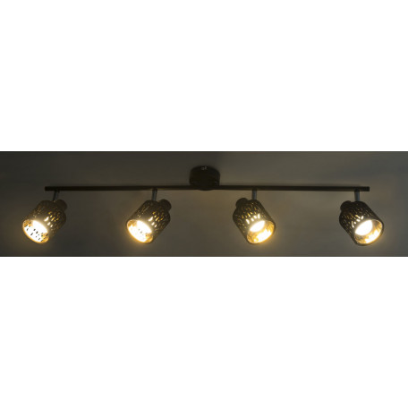Потолочный светильник с регулировкой направления света Globo Troy 54121-4, 4xE14x8W - миниатюра 4