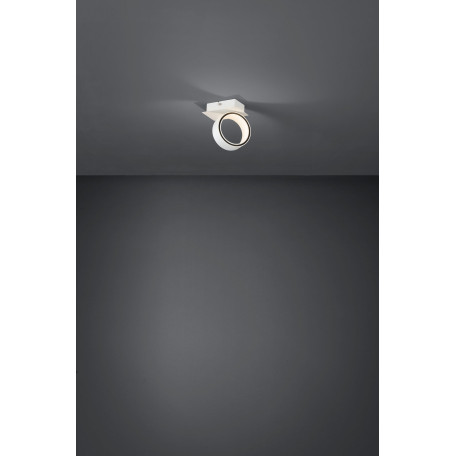 Настенно-потолочный светодиодный светильник-спот с регулировкой направления света Eglo Albariza 39584, LED 5W 3000K 650lm - миниатюра 4