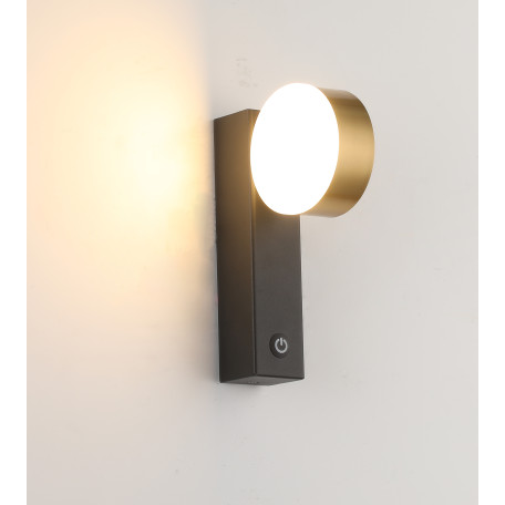 Настенный светодиодный светильник Zortes Dream ZRS.2436.21, LED 12W 4000K 350lm CRI≥80 - миниатюра 3