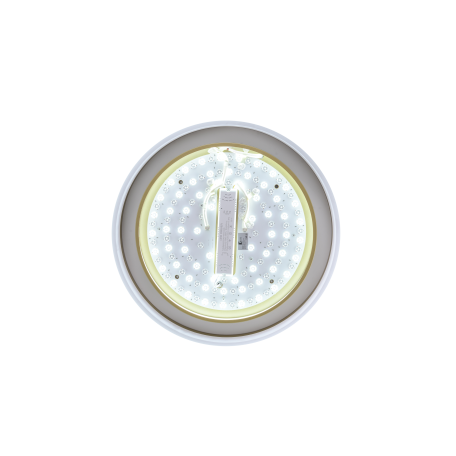 Потолочный светодиодный светильник Zortes Adel ZRS.1200.01, LED 92W 4000K 6760lm CRI≥80 - миниатюра 10