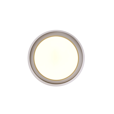 Потолочный светодиодный светильник Zortes Adel ZRS.1200.01, LED 92W 4000K 6760lm CRI≥80 - миниатюра 6