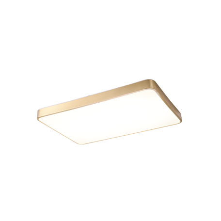 Потолочный светодиодный светильник Zortes Monna ZRS.1209.09, LED 90W 4000K 7200lm CRI≥80 - миниатюра 4