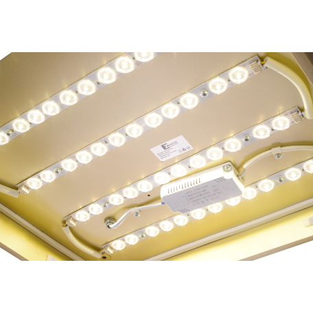 Потолочный светодиодный светильник Zortes Gabby ZRS.1215.03, LED 48W 4000K 3840lm CRI≥80 - миниатюра 8