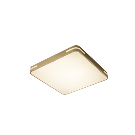 Потолочный светодиодный светильник Zortes Gabby ZRS.1215.04, LED 72W 4000K 5760lm CRI≥80 - миниатюра 6