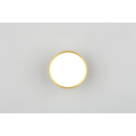 Потолочный светодиодный светильник Omnilux Salentino OML-100929-06, LED 6W 4000K 330lm - миниатюра 6
