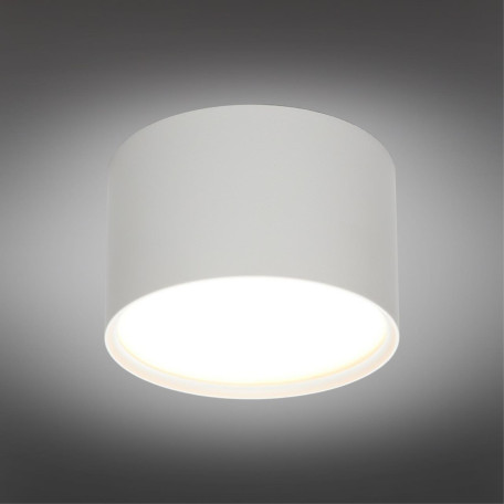 Потолочный светодиодный светильник Omnilux Abano OML-103309-06, LED 6W 3000K 490lm - миниатюра 3