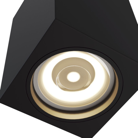 Потолочный светильник Maytoni Alfa C011CL-01B, 1xGU10x50W - миниатюра 3