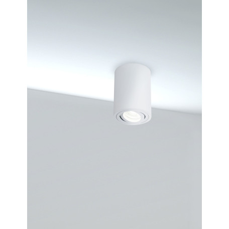 Потолочный светильник Maytoni Alfa C016CL-01W, 1xGU10x50W - миниатюра 2