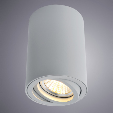 Потолочный светильник Arte Lamp Sentry A1560PL-1GY, 1xGU10x50W - миниатюра 2