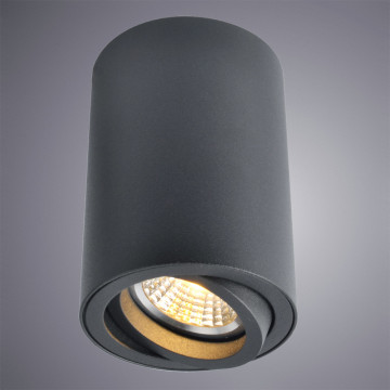 Потолочный светильник Arte Lamp Sentry A1560PL-1BK, 1xGU10x50W - миниатюра 2
