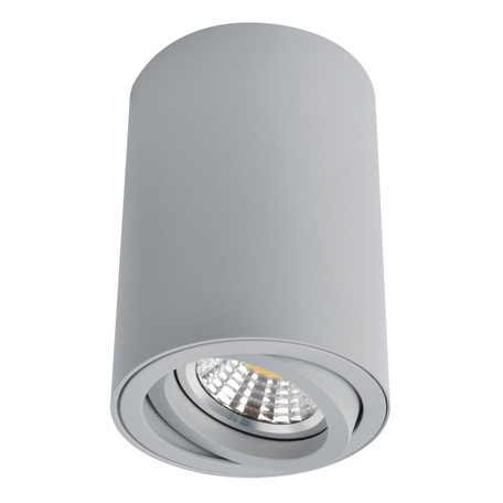Потолочный светильник Arte Lamp Instyle Sentry A1560PL-1GY, 1xGU10x50W, серый, металл - фото 1