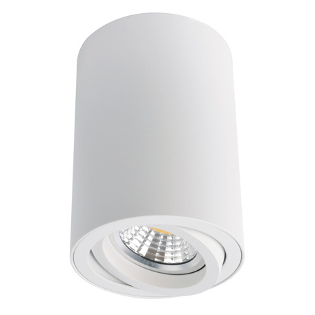 Потолочный светильник Arte Lamp Instyle Sentry A1560PL-1WH, 1xGU10x50W, белый, металл