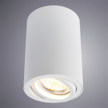 Потолочный светильник Arte Lamp Sentry A1560PL-1WH, 1xGU10x50W - миниатюра 2