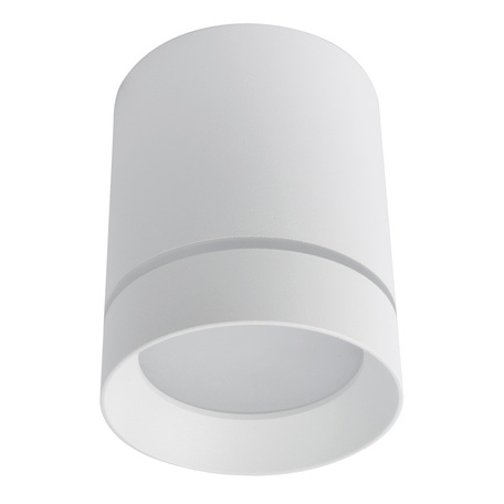 Потолочный светодиодный светильник Arte Lamp Instyle Elle A1909PL-1WH, LED 9W 4000K 450lm CRI≥70, белый, металл, пластик