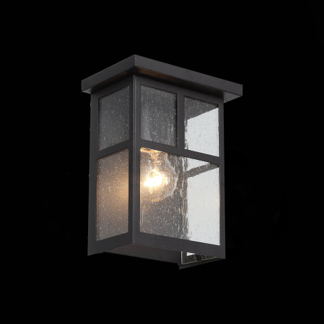 Настенный светильник ST Luce Glazgo SL079.401.01, IP54, 1xE27x60W - миниатюра 3