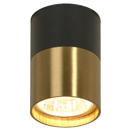 Потолочный светильник Lussole Loft GILBERT LSP-8555, IP21, 1xGU10x50W