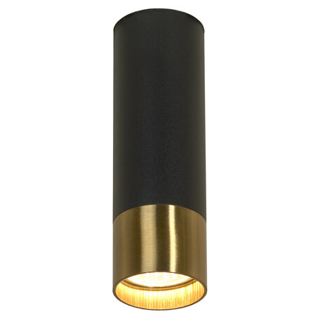 Потолочный светильник Lussole Loft GILBERT LSP-8556, IP21, 1xGU10x50W