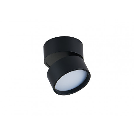 Потолочный светодиодный светильник с регулировкой направления света Donolux Bloom DL18960R12W1B, LED