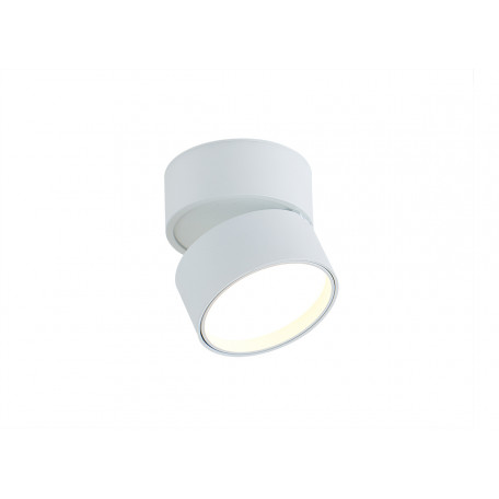 Потолочный светодиодный светильник с регулировкой направления света Donolux Bloom DL18960R12W1W, LED