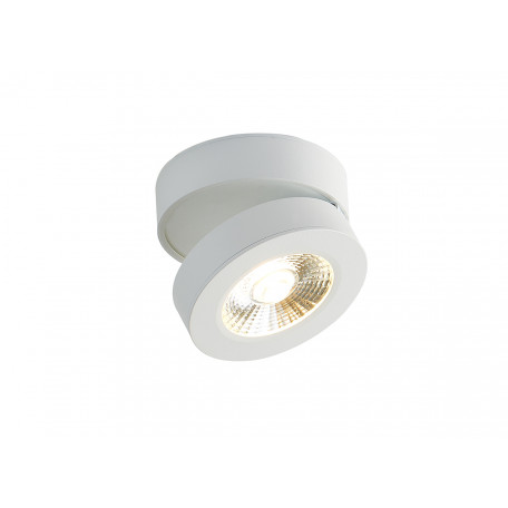 Потолочный светодиодный светильник с регулировкой направления света Donolux Sun DL18962R12W1W, LED - миниатюра 1