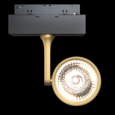 Светодиодный светильник Maytoni Oko TR024-2-10MG4K, LED 10W 4000K 800lm CRI80, золото, металл - миниатюра 2
