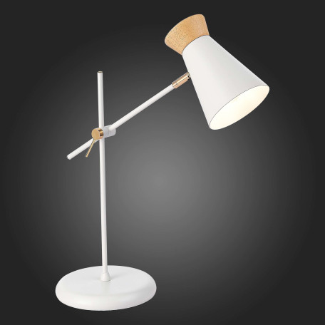 Настольная лампа Evoluce Alfeo SLE1252-504-01, 1xE27x60W - миниатюра 5
