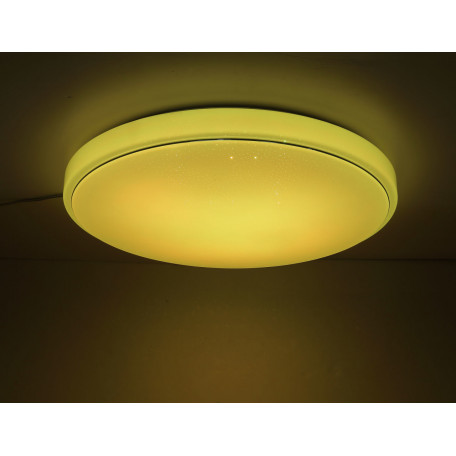 Потолочный светодиодный светильник Globo Kalle 48408-40, LED 40W - миниатюра 17