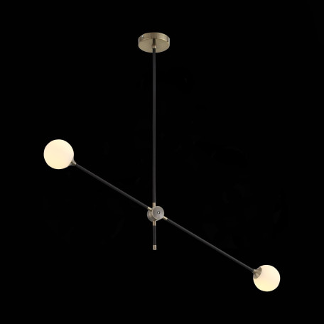 Потолочный светильник с регулировкой направления света ST Luce Bastoncino SL429.403.02, 2xG9x40W - миниатюра 2