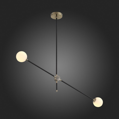 Потолочный светильник с регулировкой направления света ST Luce Bastoncino SL429.403.02, 2xG9x40W - миниатюра 3