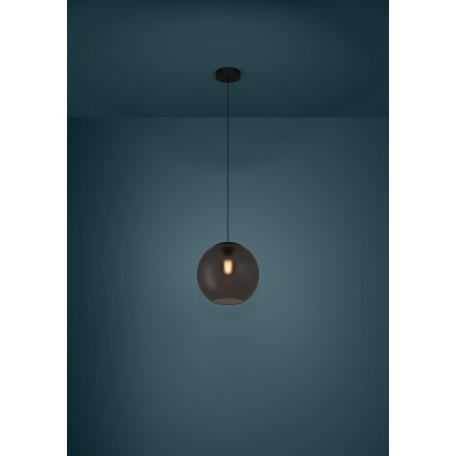 Подвесной светильник Eglo Arangona 390212, 1xE27x40W - миниатюра 2