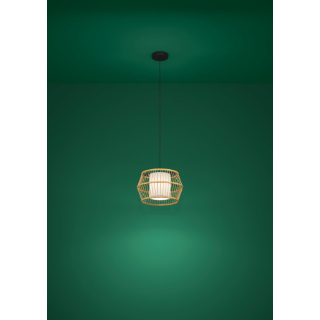 Подвесной светильник Eglo Monterroso 390233, 1xE27x40W - миниатюра 2