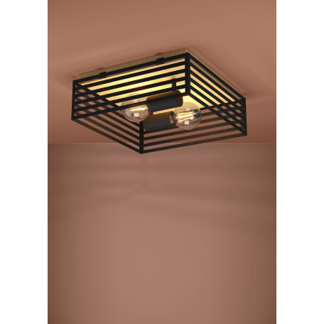 Потолочный светильник Eglo Cidraz 390163, 2xE27x40W - миниатюра 2