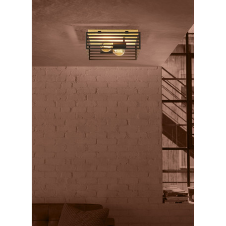 Потолочный светильник Eglo Cidraz 390163, 2xE27x40W - миниатюра 3