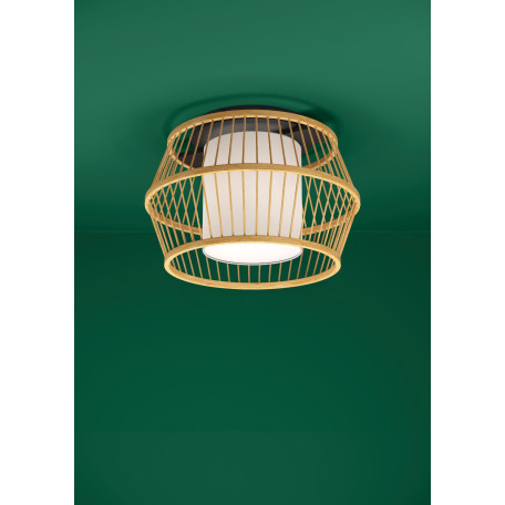 Потолочный светильник Eglo Monterroso 390232, 1xE27x40W - миниатюра 2