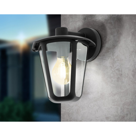 Настенный фонарь Eglo Monreale 98121, IP44, 1xE27x60W, черный, прозрачный, металл, металл с пластиком - миниатюра 2