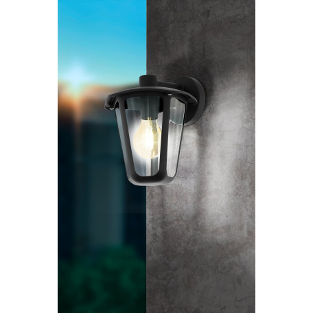 Настенный фонарь Eglo Monreale 98121, IP44, 1xE27x60W, черный, прозрачный, металл, металл с пластиком - миниатюра 3