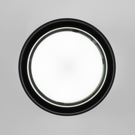 Потолочный светильник Elektrostandard Light 35144/H a057868, IP54, 1xGX53x12W - миниатюра 2