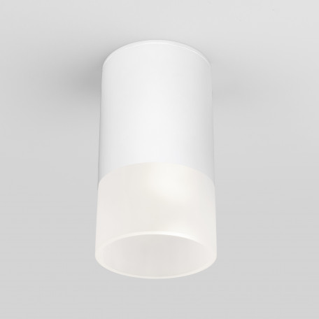 Потолочный светильник Elektrostandard Light LED 35139/H a057157, IP54